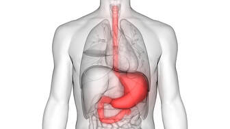 Medical negligence in stomach cancer diagnosis
